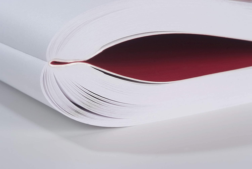 ZEQUENZ Classic 360 Signature Series, Size: A5 Large, Color: Red, Paper: Grid, S - Picture 7 of 12