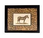 Zebra Print Jungle Animal Art Framed Vintage Safari Decor
