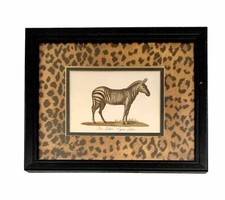 Zebra Print Jungle Animal Art Framed Vintage Safari Decor