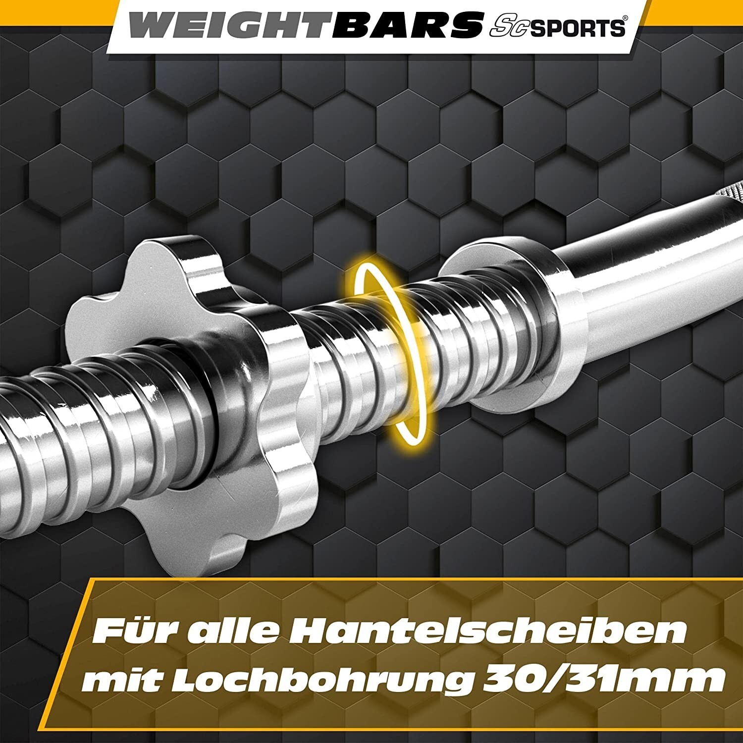 Bild 12 von 84
