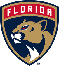 Florida Panthers Home Made Art Photo Cards