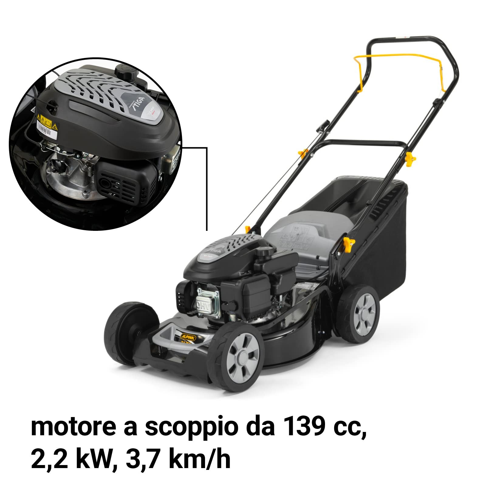 Foto 12 di 24