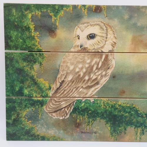 Owl Wall Decor Hanging Picture Wile E Wood Art 15x10.5" Bird Nature Print - Picture 3 of 11