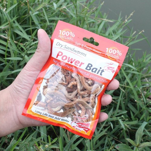 Señuelos de pesca vivos de gusanos de arena secos naturales de 6-10 g para bagre olor a pescado cebo suave - Imagen 18 de 23