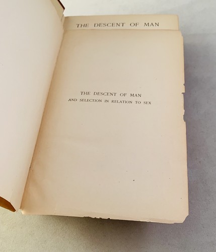 The Descent Of Man-Charles Darwin-Second Edition/Revised/Augmented-1901-RARE!! - Imagen 7 de 12
