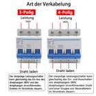 Bild 4 von 12