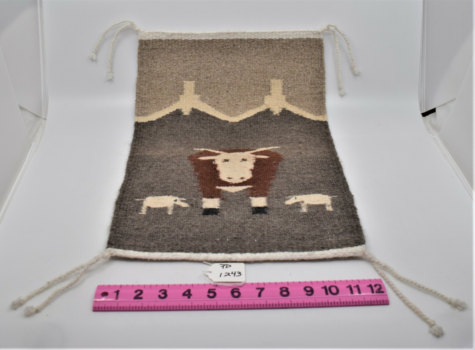 Foto 11 di 11