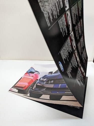 Shelby GT 350 Sales brochure - Picture 3 of 3