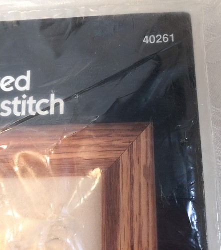 Bucilla PEACHES Counted Cross Stitch Kit 7" x 7" NEW 40261 Please Read - Imagen 4 de 4
