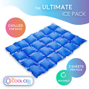 Flexible Too CoolCell Reusable IcePacks x3 Keep Food /& Drinks Chilled For Days