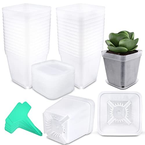 Quadratische Gärtnertöpfe Kunststoff 28 Stck. 3 Zoll mit Untertassen und Pflanzenetiketten  - Bild 1 von 7