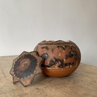 Picture 19 of 20