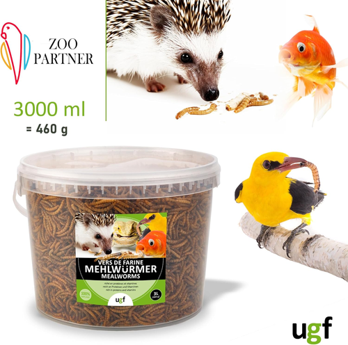 Cibo Universale per Insetti Criceti Ricci Roditori Lucertole Tartarughe 3 Litri - Foto 2 di 7