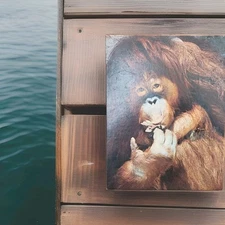 Vintage 1975 The Swinging Gourmet An Authentic Springbok Puzzle 604 pc.OBO