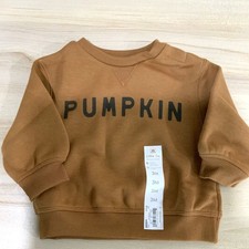 NWT  Pumpkin Lightweight Sweatshirt Orange/Brown 3Month Old