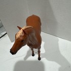 Foto 2 di 7