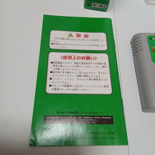 Record of Lodoss War Super Famicom SNES SHVC-ALWJ 1995 NTSC-J Nintendo Kadokawa - Imagen 7 de 12
