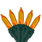 Northlight 100ct Orange LED Mini Outdoor Christmas Lights 34.25ft -Green Wire