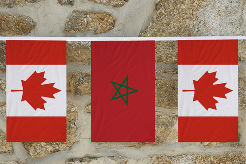 Kanada und Welt Länderflagge Freundschaft Wimpelkette - HERGESTELLT IN UK - Bild 121 von 203