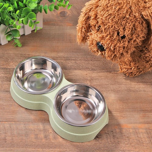 Dog Double Bowl Puppy Food Feeder Stainless Steel Pet Drinking Dish (Green) - Picture 1 of 6