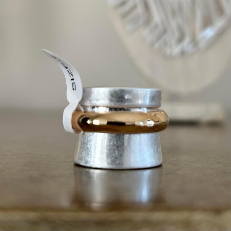 Park Lane Coastal Ring Size 9 Two Tone Gold Silver Tone Ret $70
