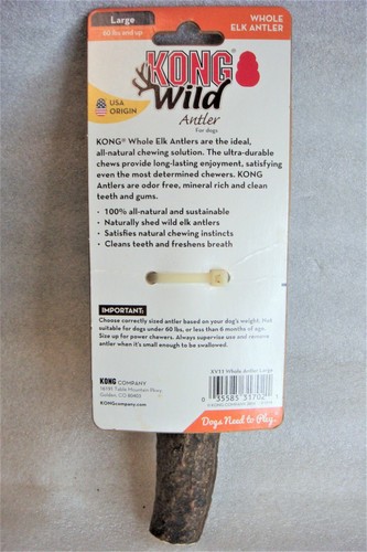 NEW Kong Wild WHOLE LARGE ELK ANTLER for Adult Dogs 60 lb + Naturally Shed USA - Picture 3 of 5
