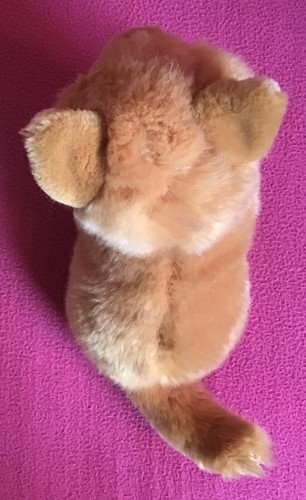 Teddy Hermann Pure Ginger Orange Cat Kitten Soft Plush Toy 10” - Picture 14 of 14