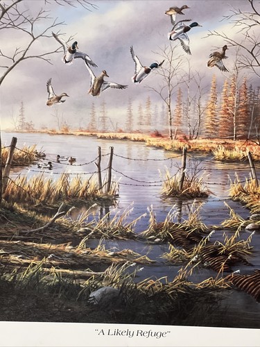 Ken Zylla Sign In Pencil .Print "A Likely Refuge" - Picture 2 of 6
