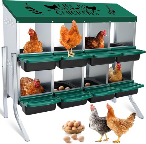 8-Hole Height-Adjustable Chicken Nesting Boxes with Automatic Egg Collection - Picture 3 of 9
