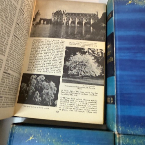 Newnes Popular Encyclopaedia  Universal Knowledge Complete 8 Vol HB Vintage Set - Picture 20 of 24
