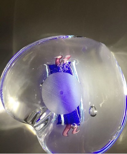 Vintage Schmidt & Rhea, Signed S/R 97;98 Heart Shape Two Paperweight, Mint ! - Picture 11 of 12