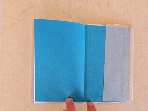 BANANA RIVER BY CHARLES A. LINDBERGH. FIRST EDITION. 1976 . HARDCOVER . - Imagen 7 de 9