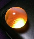 Bild 4 von 10