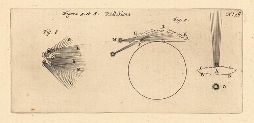 3 Kupferstiche aus Lubiniecki's "Theatrum Cometicum" - Bild 2 von 6