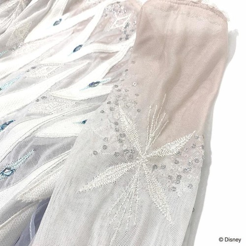 Disney Elsa Frozen 2 epilogue Cosplay Dress Woman secret honey Stage costume. - Picture 5 of 13
