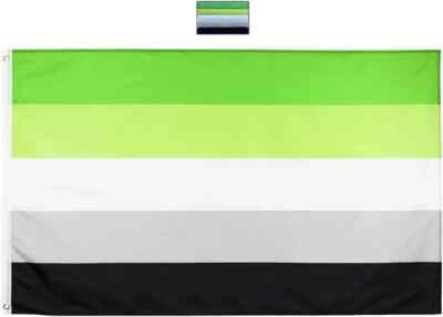 Aromantic Pride Flag 3x5ft with Grommets LGBTQIA Aro Pride A