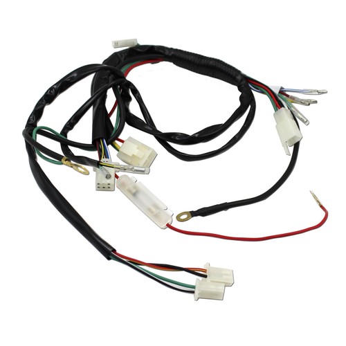 Full Wiring Loom Harness Coil CDI Spark Plug Dirt Bike Atomik Thumpstar Pitpro - Picture 7 of 10