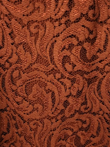 Vestido de mujer Garnet Hill talla 8 de encaje de ruibarbo profundo mangas 3/4 - Imagen 3 de 7