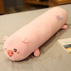 Picture 9 of 25