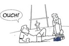 Bild 7 von 8