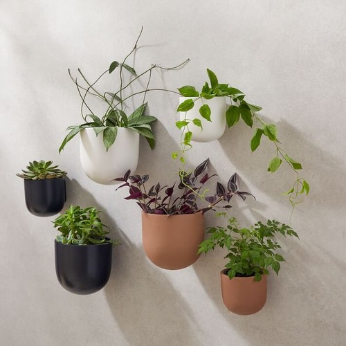 West Elm Handcrafted Ceramic Wallscape Planter Large - 6.5"D x 6.5"H.