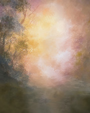 10'x20' Muslin 100 Hand-Painted Dreamy abstract Background 46-547