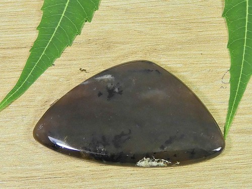 30X49X05MM Dendrita Miel Natural Forma Elegante Cabujón Piedra Preciosa Suelta 59Cts. - Imagen 1 de 7