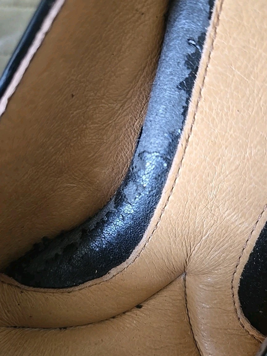 Picture 10 of 10