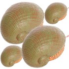  2 Pcs Snail Toys for Kids Figurine Decorative Garden Figures Small Figurines