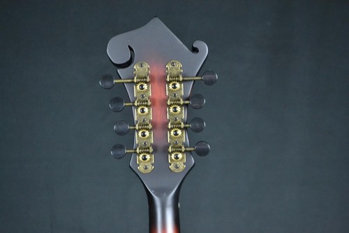 WASHBURN M108SWK-D AMERICANA SERIES F-STYLE MANDOLIN W/CASE Int'l Buyer Welcome - Picture 5 of 11