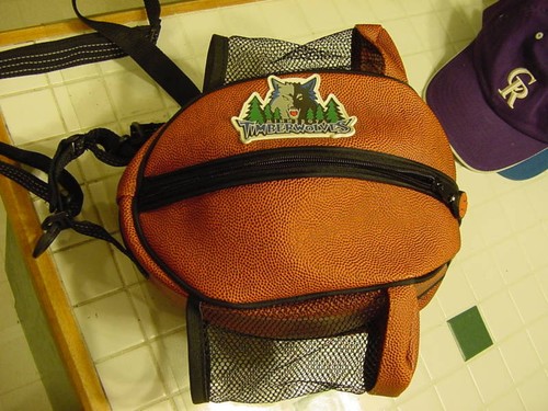 GORGEOUS Minnesota Timberwolves Women's Ballbag/Purse, SUPER COOL!!