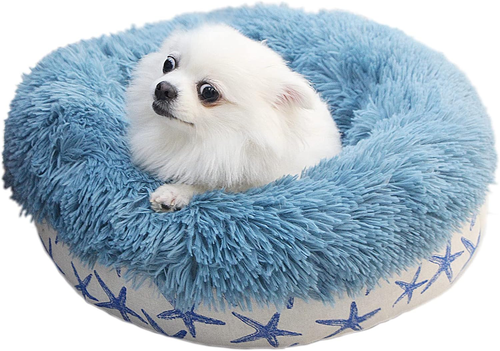 Puppy Beds for Small Dogs Washable 19 Inches Lake Blue Color Matching Starfish C - Picture 11 of 12