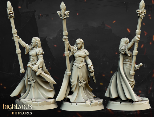Damisela de la Dama, Wargames RPG Guerrera Medieval Mujer Caballero Miniatura - Imagen 2 de 7