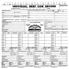 Beef Cow Herd Management Sheets (50/bag) Livestock herd management book